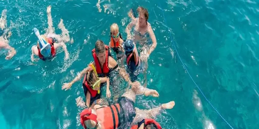 اسنوركل غواصة باراديس اسبكترا