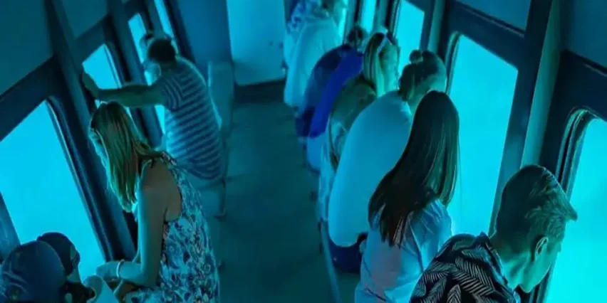 قاع الغواصة باراديس اسبكترا الغردقة