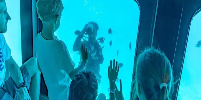 قاع غواصة باراديس اسبكترا