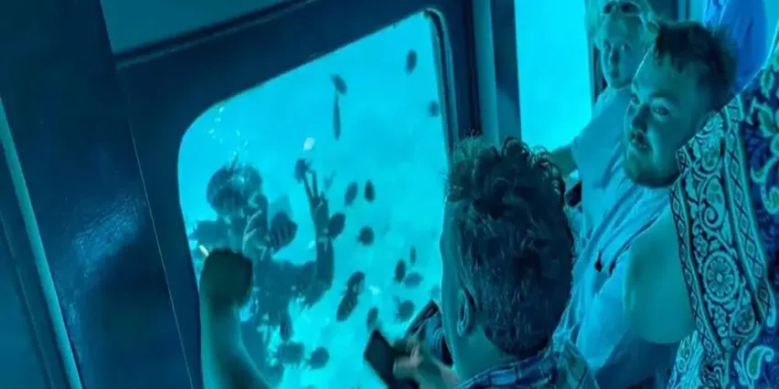 مشاهدة الشعب المرجانية